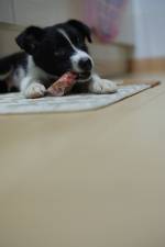 dscf0182.jpg dscf0182.jpg