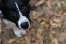 img_6407.jpg img_6407.jpg