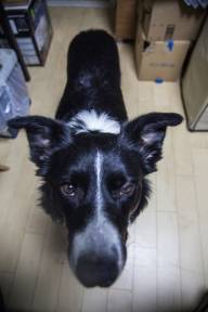 img_6726.jpg img_6726.jpg