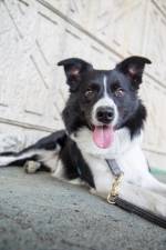 img_6747.jpg img_6747.jpg