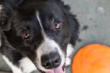 img_6792.jpg img_6792.jpg