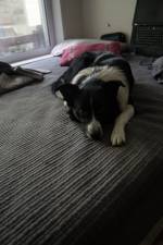 img_7052.jpg img_7052.jpg