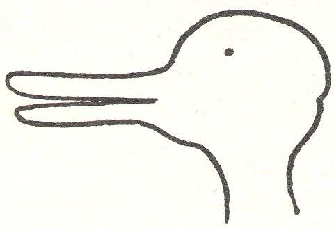 wittgenstein_duck_rabbit.jpg