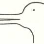 wittgenstein_duck_rabbit.jpg