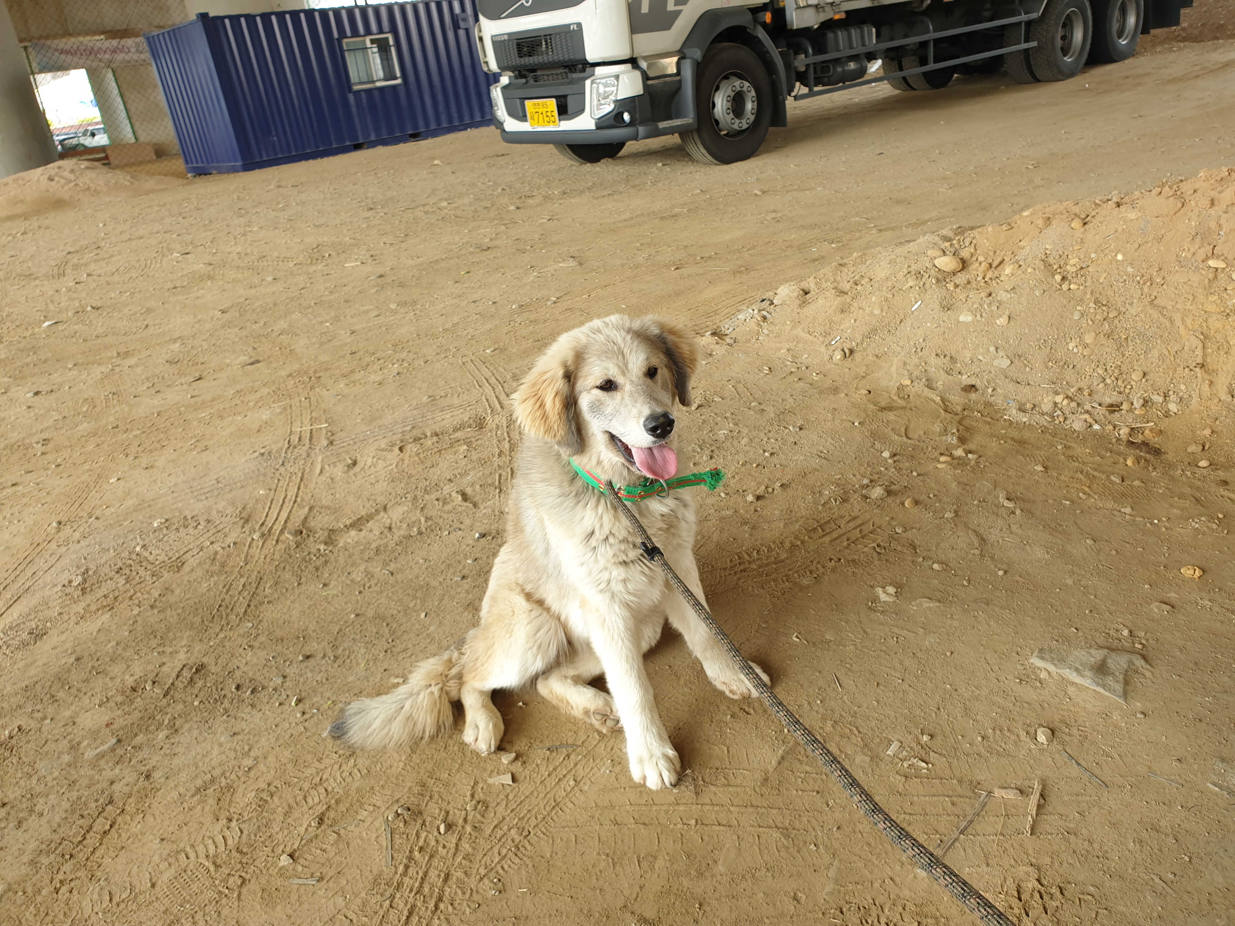 20190504_105901.jpg