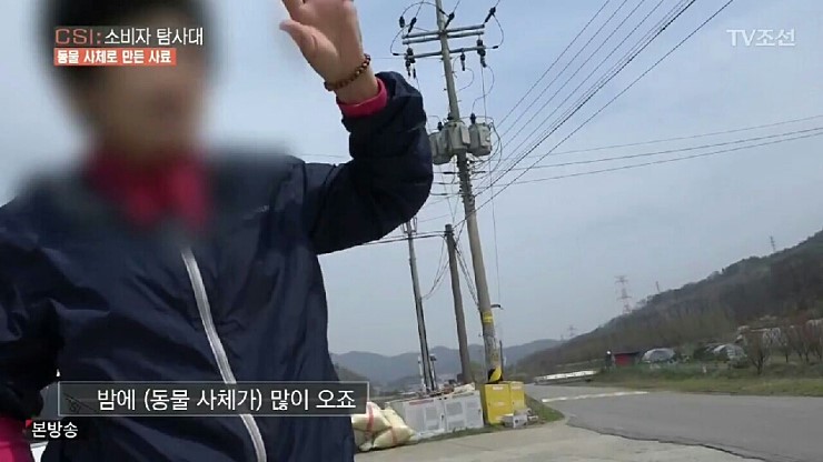 041.jpg