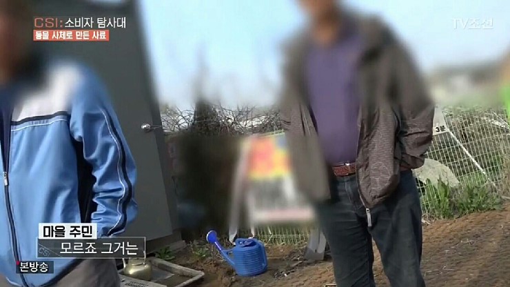 097.jpg
