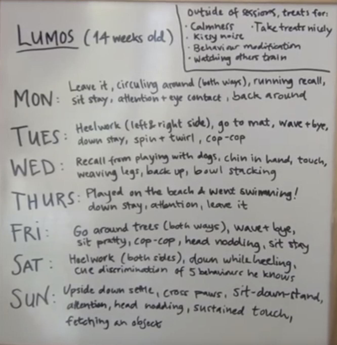 puppy_training_schedule.jpg