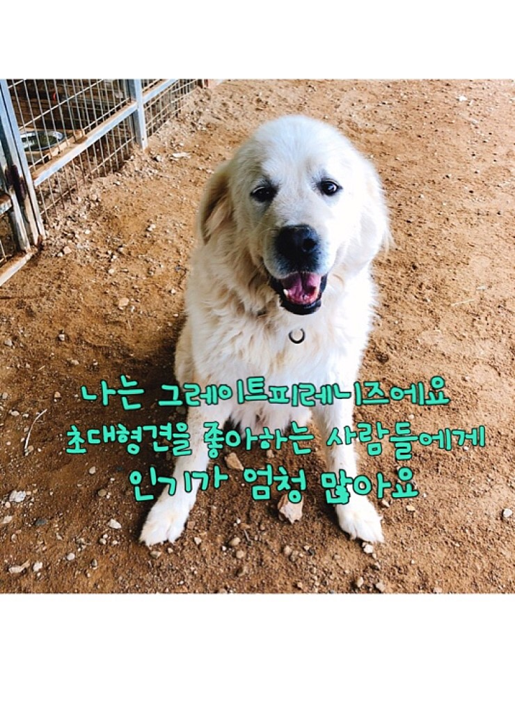 20190417-155258.png