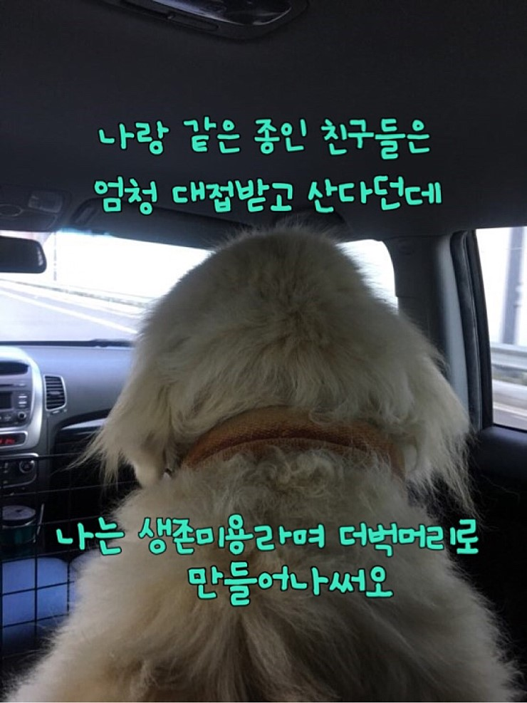 20190417-155309.png 20190417-155309.png
