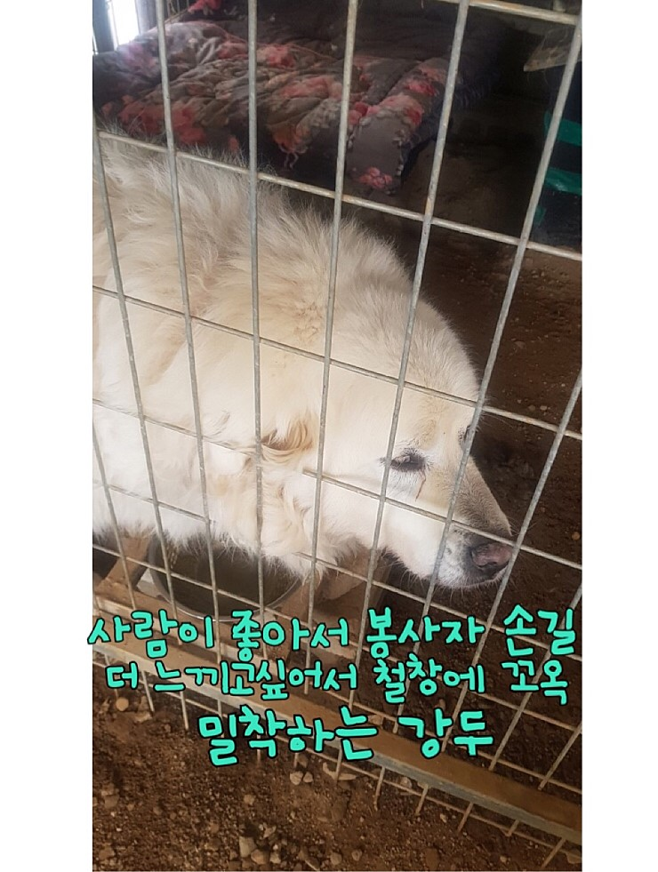 20190417-155326.png
