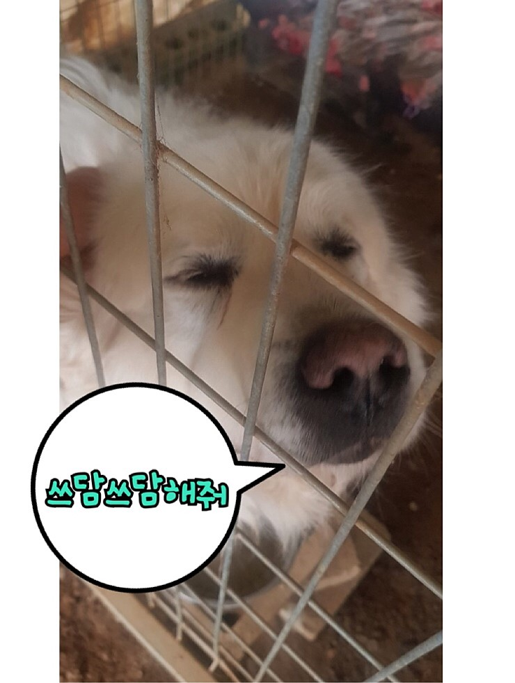 20190417-155340.png