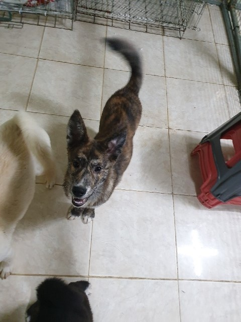 20190403-074925.png