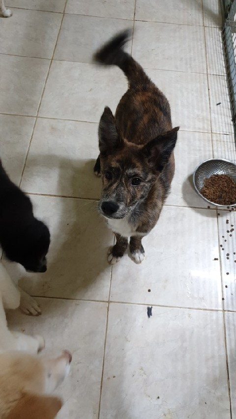 20190403-075034.png