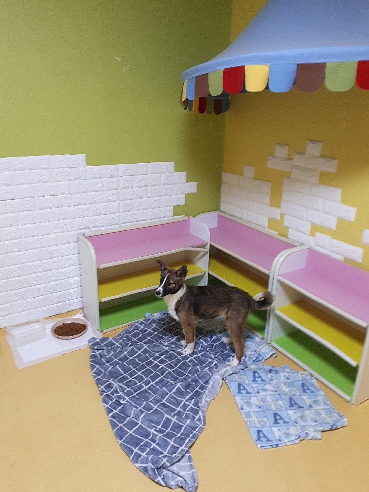 20190403-130112.png