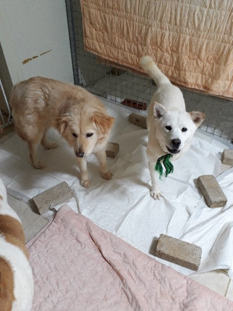 20190405-004739.png