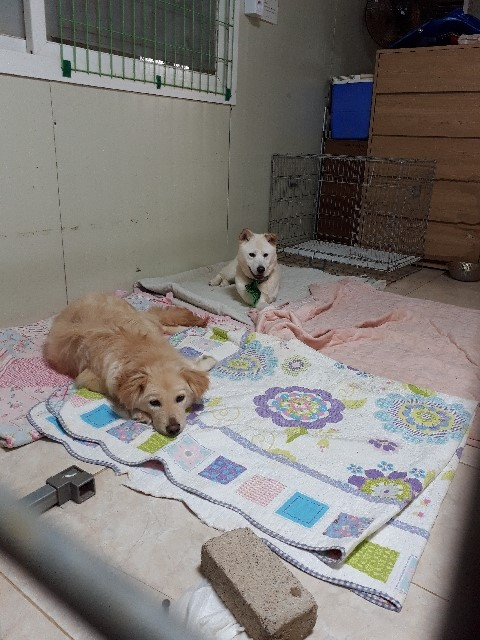 20190405-004753.png